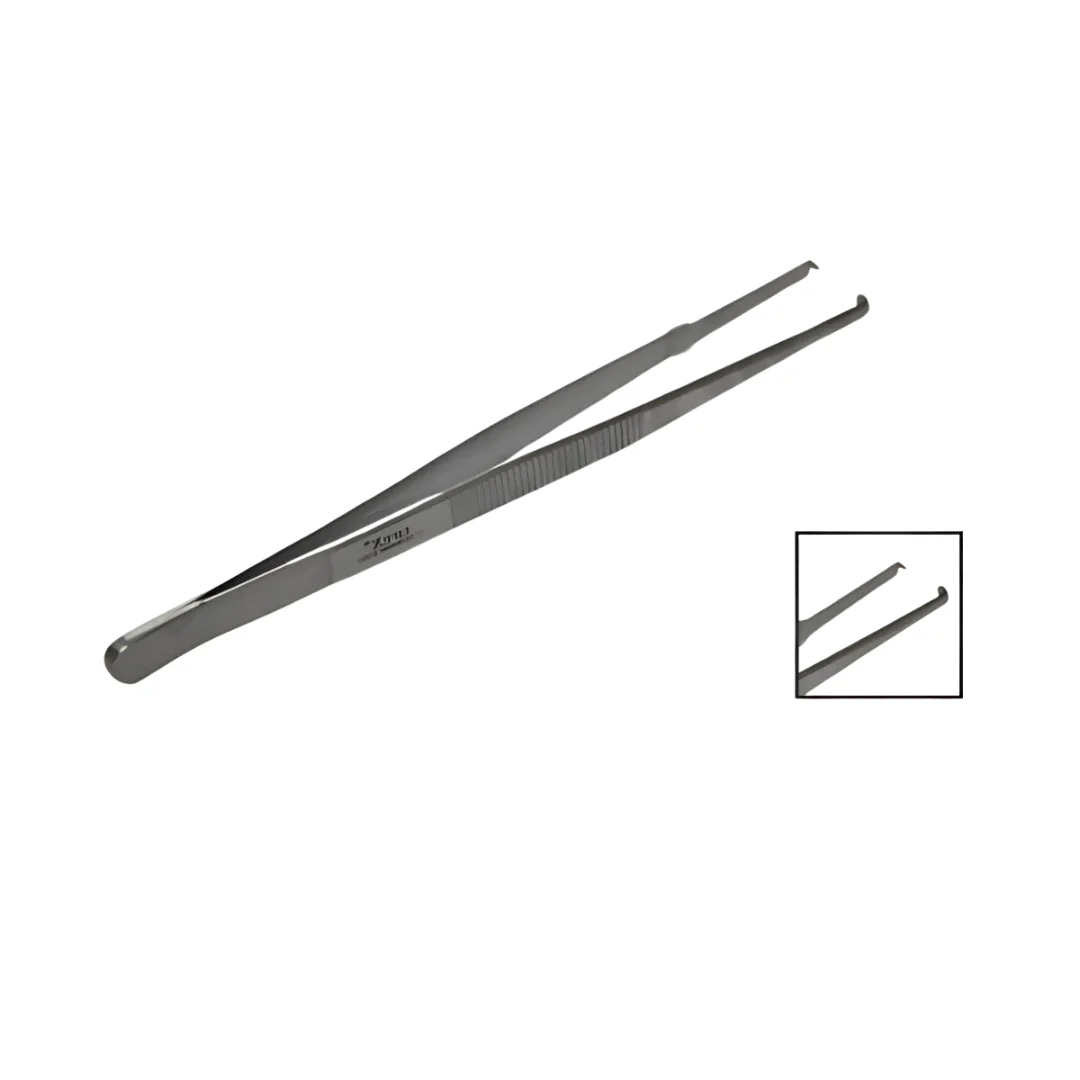 Dissecting Forcep (Tooth)