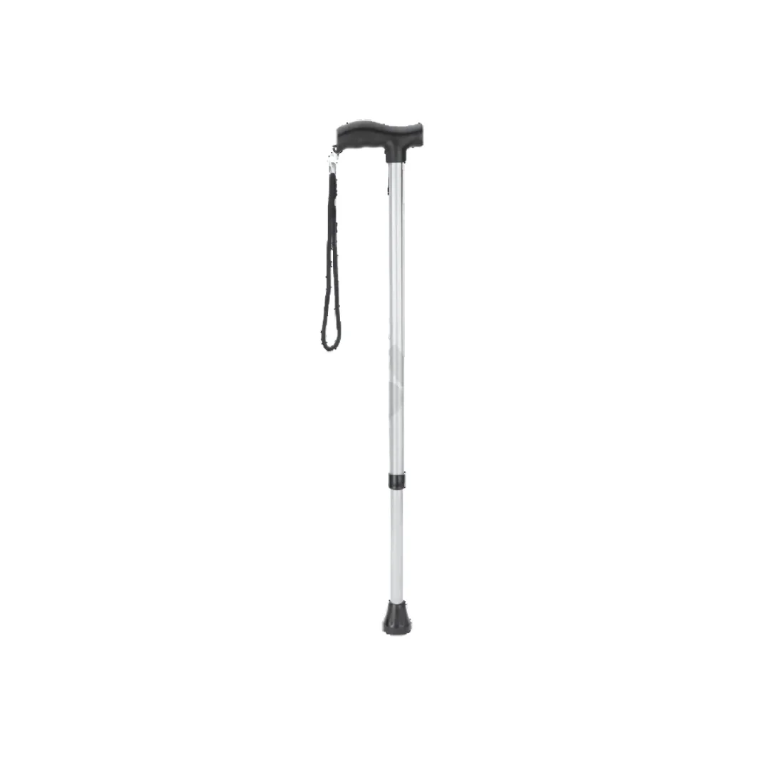 Walking Stick