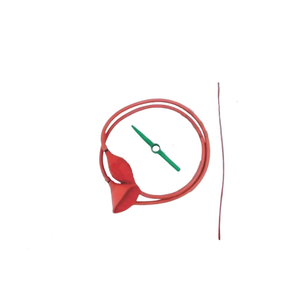 Stomach Tube